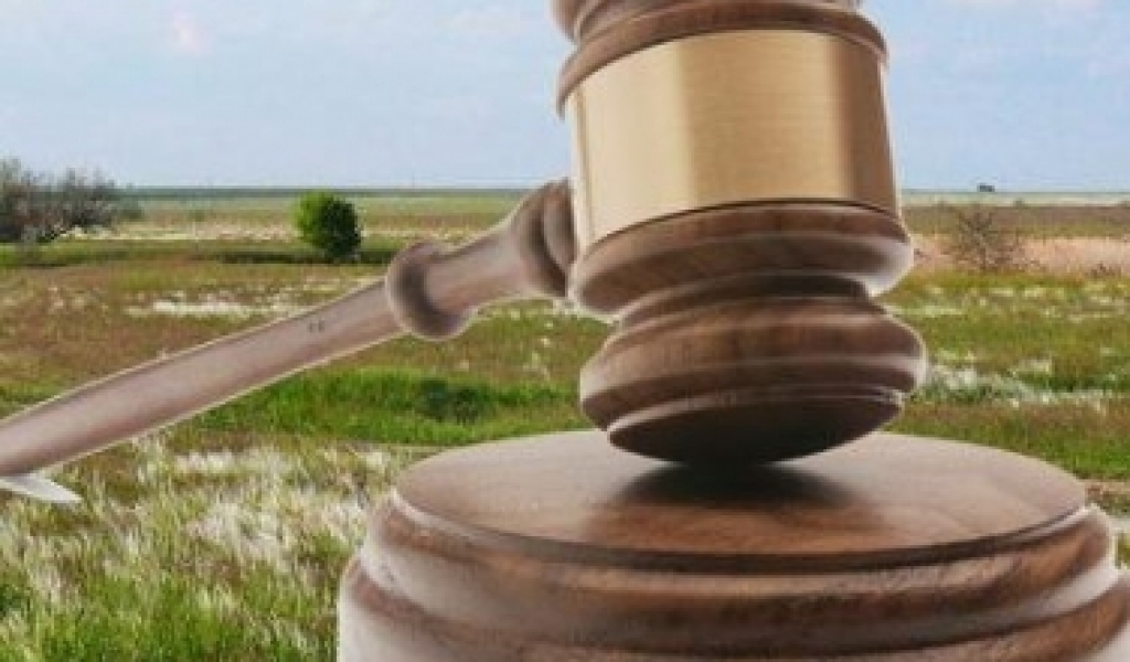 Загальна площа переданих в оренду ділянок склала 14,53 тис. гектарів